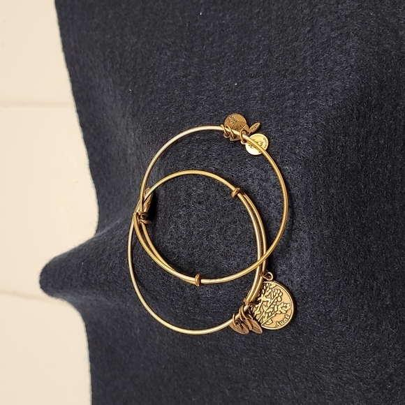 Alex and Ani set - Picture 1 of 2